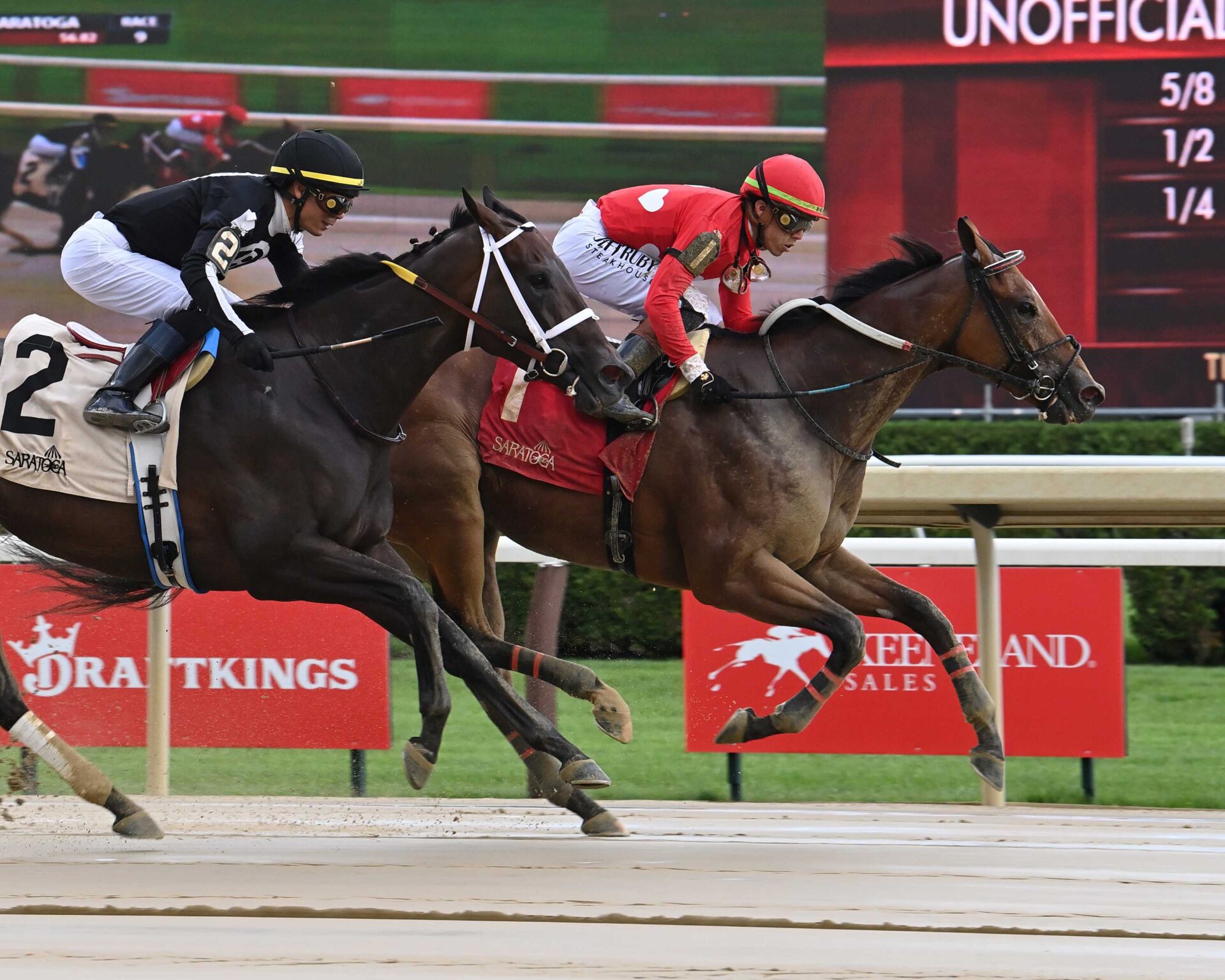 Halina´s Forte, horse, Mitole, Honorable Miss Hándicap, domingo, 20 de julio de 2025, Saratoga. Foto: Coglaniese Photo & Susie Raisher