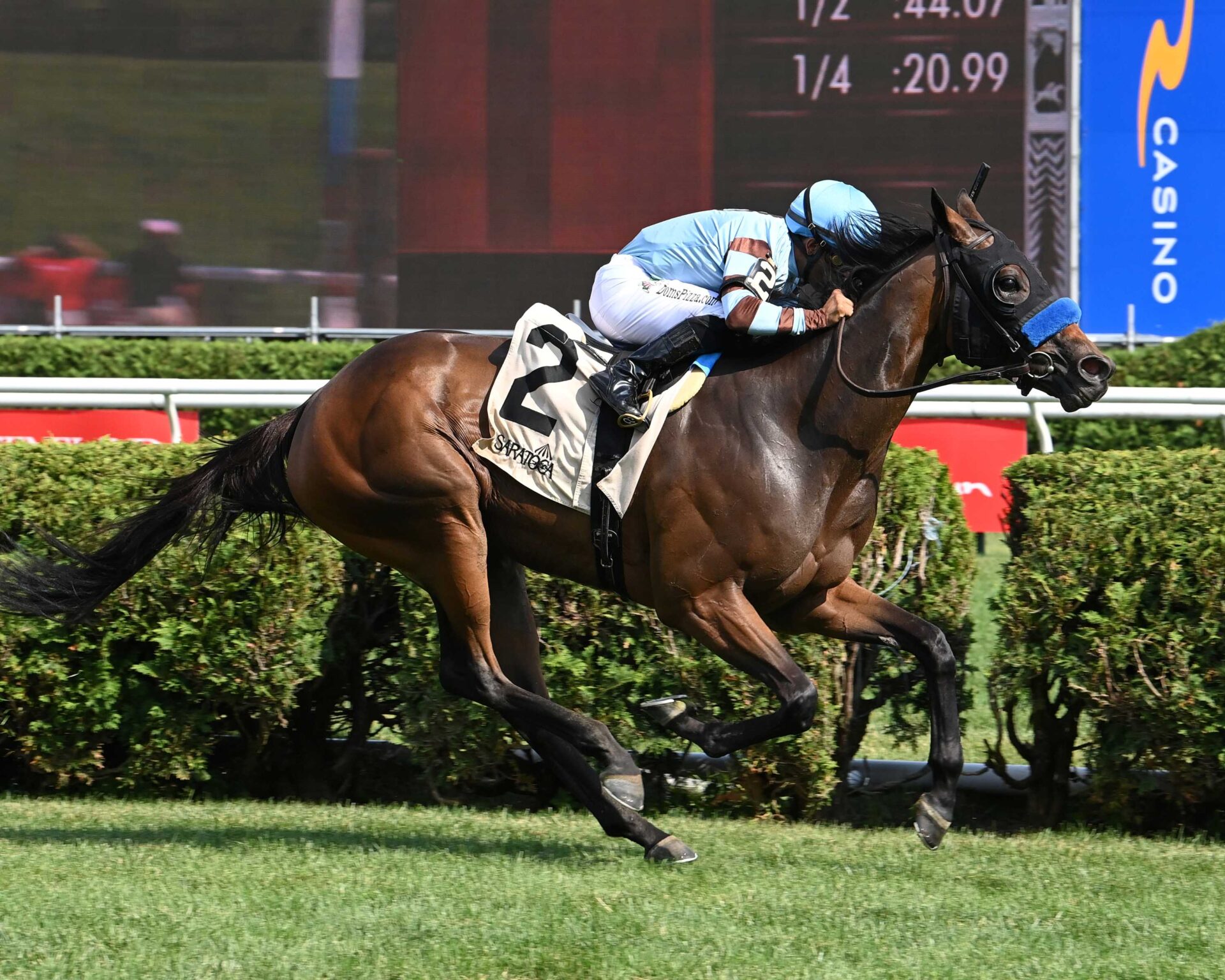 Italian Soiree, horses, Repole Stable, Coronation Cup Stakes, viernes, 11 de julio de 2025, Saratoga. Foto: Coglianese Photo & Susie Raisher