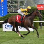 La Mehana, horse, Al Wukair, Glen Falls Stakes, domingo, 27 de julio de 2025, Saratoga. Foto: Coglaniese Photo & Susie Raisher