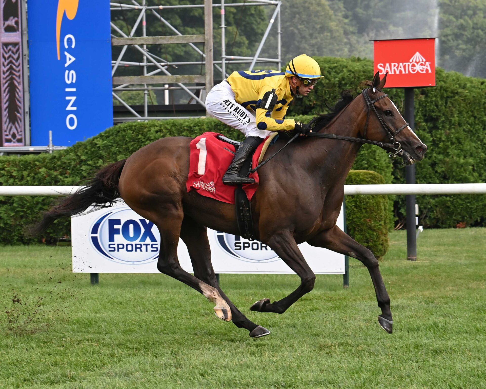 La Mehana, horse, Al Wukair, Glen Falls Stakes, domingo, 27 de julio de 2025, Saratoga. Foto: Coglaniese Photo & Susie Raisher