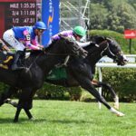 León Blue, horse, Mo Town, Rick Violette Stakes, jueves, 17 de julio de 2025, Saratoga. Foto: Coglaniese Photo