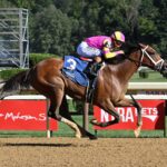 Leslie´s Rose, horse, Into Mischief, viernes, 18 de julio de 2025, Saratoga. Foto: Coglaniese Photo & Susie Raisher