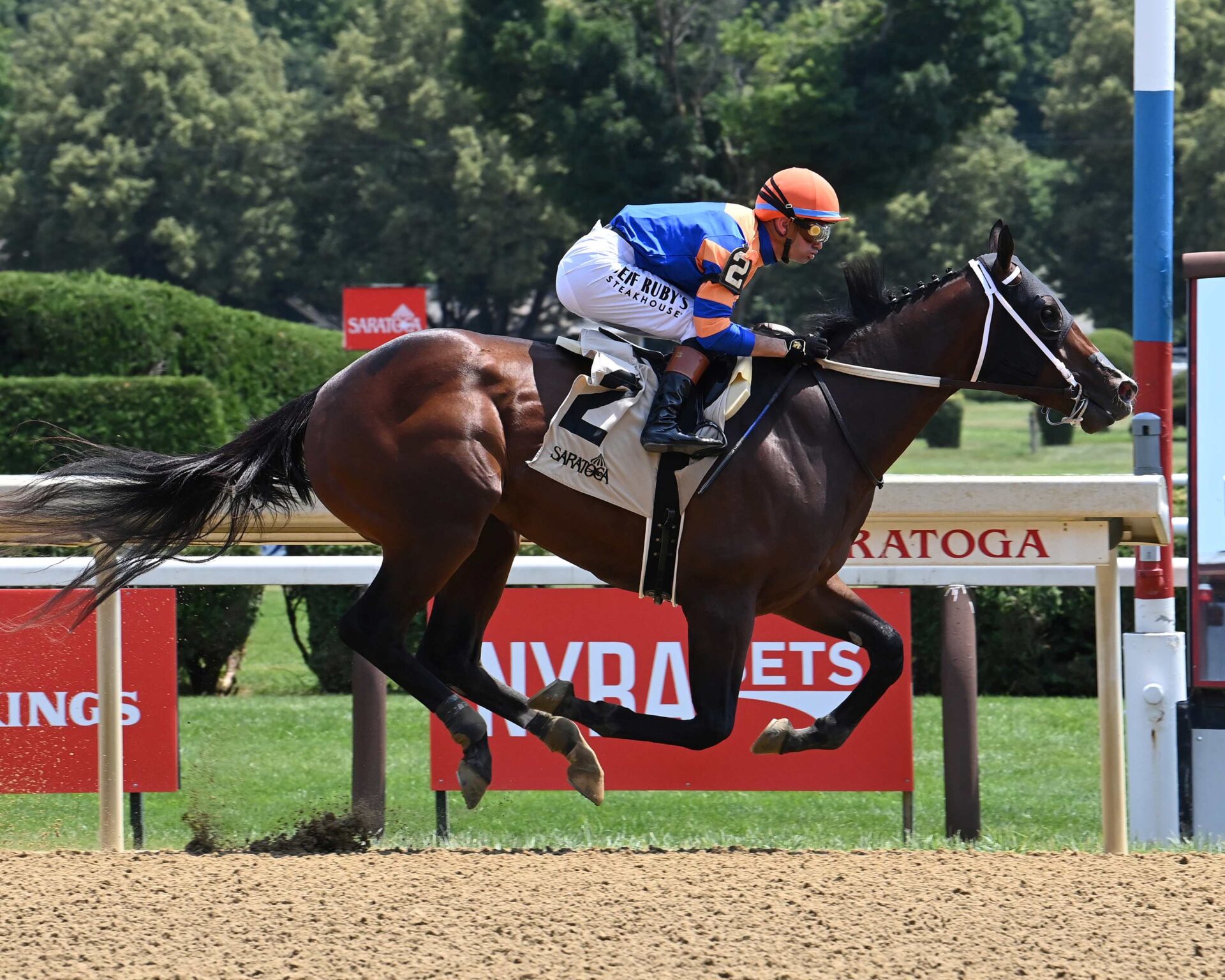 Obliteration, horse, Violence Sanford Stakes, sábado, 5 de julio de 2025, Saratoga. Foto: Coglaniese Photo & Susie Raisher