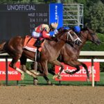 Phileas Fogg, horse, Astern (AUS), Suburban Stakes, sábado, 5 de julio de 2025, Saratoga. Foto: Coglianese Photo & Susie Raisher