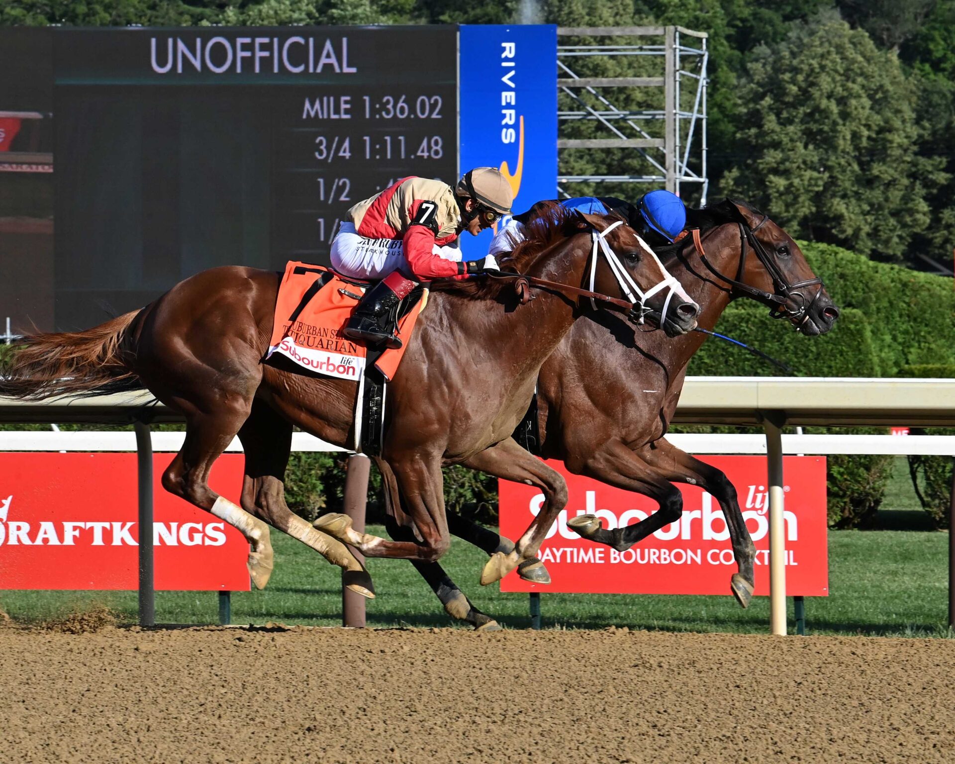 Phileas Fogg, horse, Astern (AUS), Suburban Stakes, sábado, 5 de julio de 2025, Saratoga. Foto: Coglianese Photo & Susie Raisher