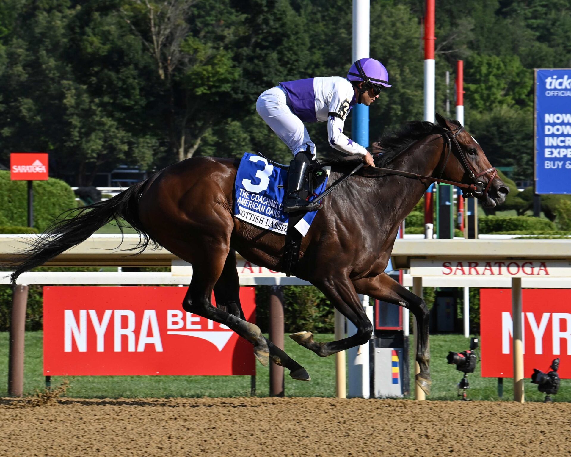 Scottish Lassie, horse, McKinzie, Coaching Club American Oaks, sábado, 19 de julio de 2025, Saratoga. Foto: Coglaniese Photo & Susie Raisher