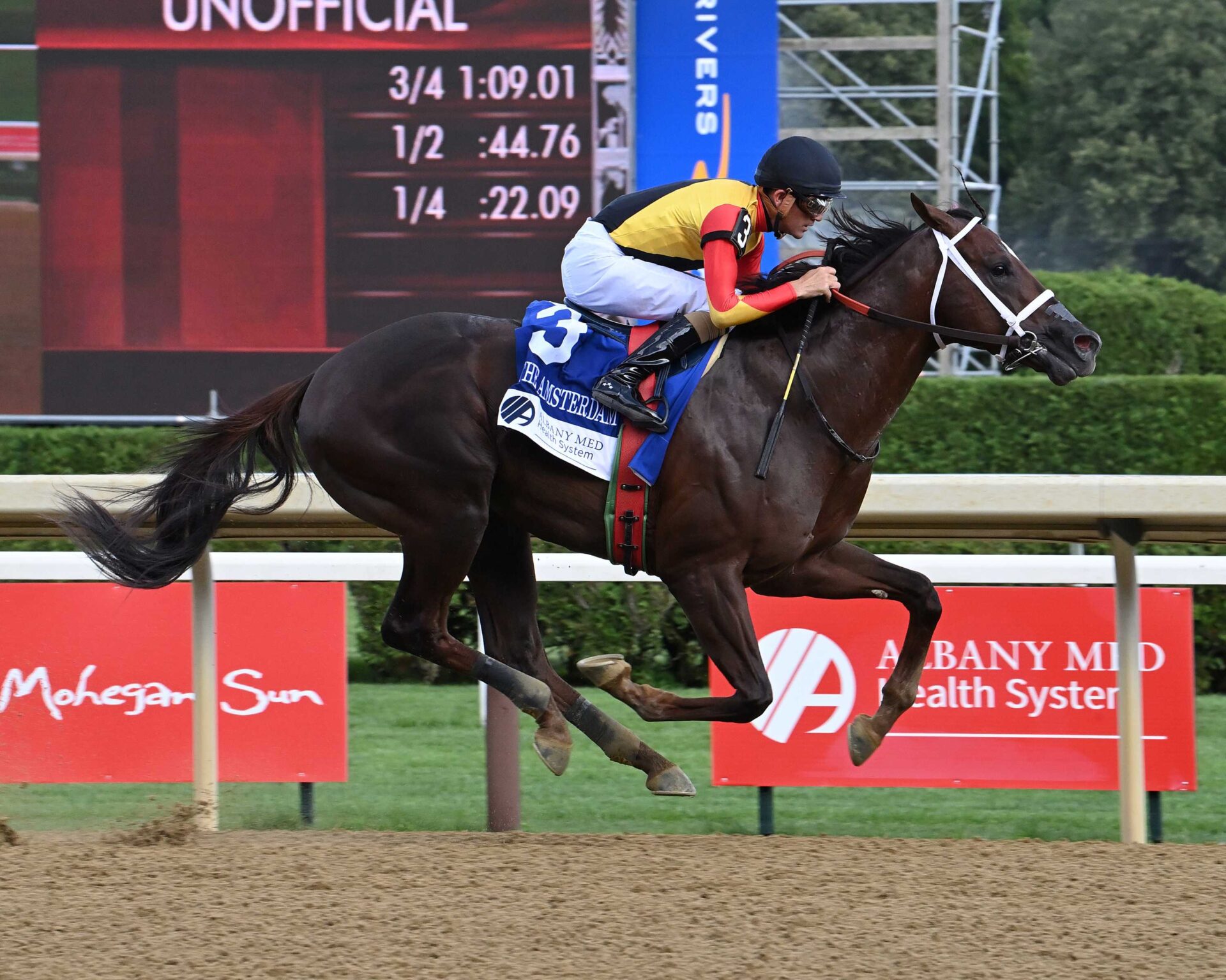 Smoken Wicked, horse, Bobby´s Wiked One, Amsterdam Stakes, viernes, 25 de julio de 2025, Saratoga. Foto: Coglaniese Photo & Susie Raisher