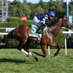 Test Score, horse, Lookin At Lucky, Derby Invitational, viernes, 4 de julio de 2025, Belmont Park. Foto: Coglianese Photo
