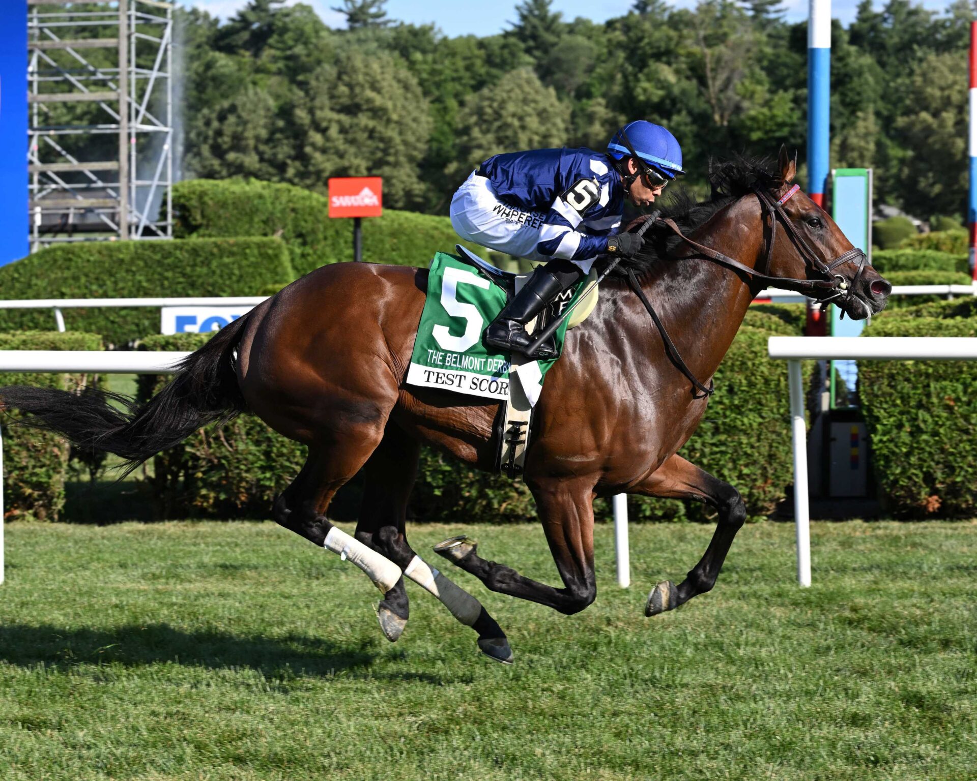 Test Score, horse, Lookin At Lucky, Derby Invitational, viernes, 4 de julio de 2025, Belmont Park. Foto: Coglianese Photo