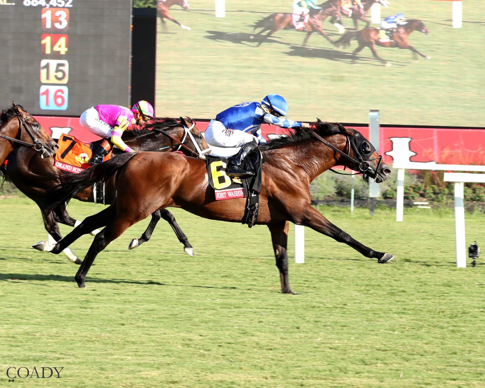 Fort Washington, horse War Front, Arlington Million, sábado, 9 de agosto de 2025, Colonial Downs. Foto: Coady Media