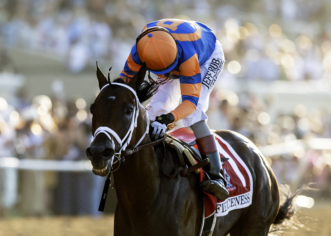 Fierceness, horse, City Of Light, Pacific Classic, sábado, 30 de agosto de 2025, Del Mar. Foto: Benoit Photo