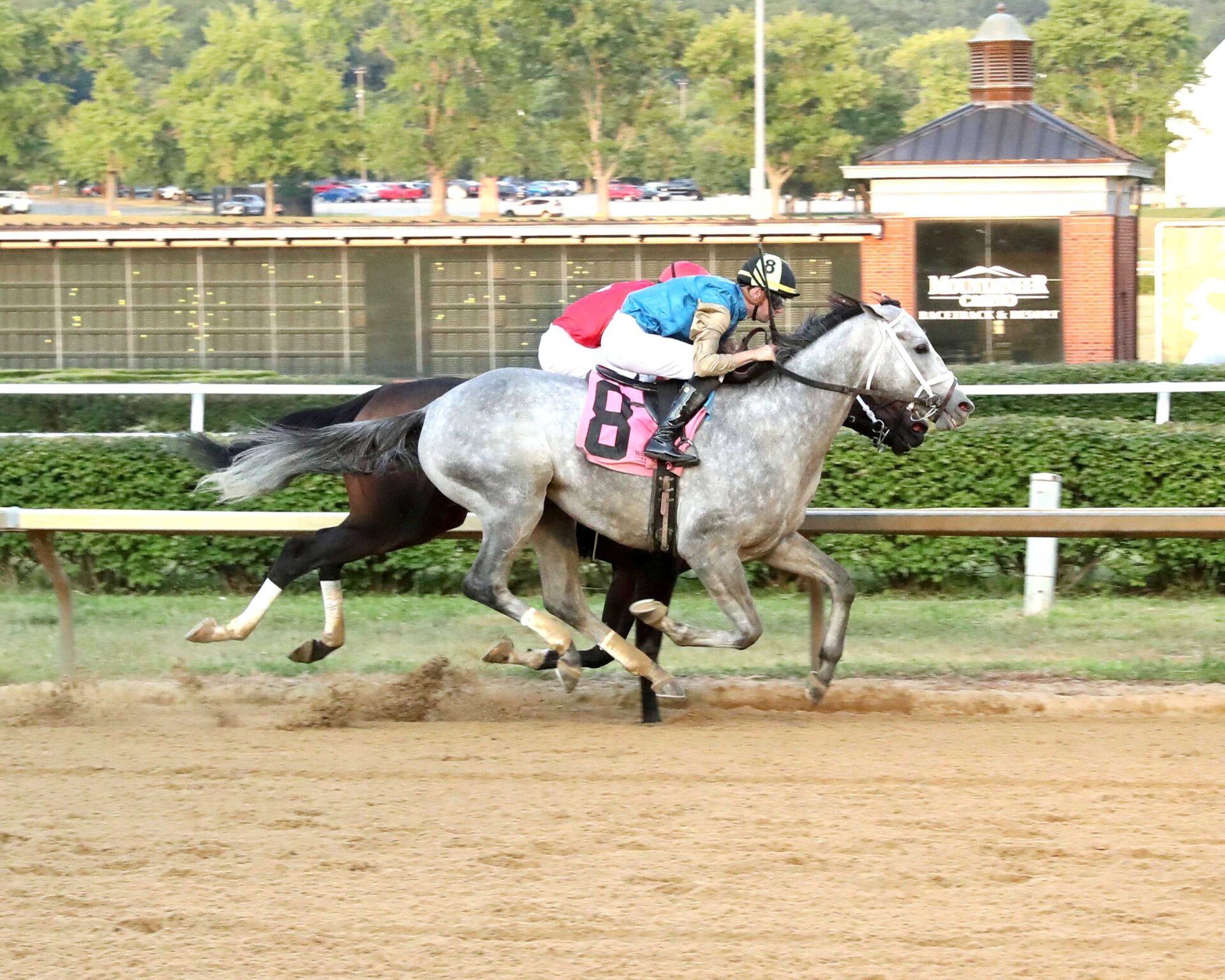 Hit Show, horse, Candy Ride, West Virginia Governor´s Stakes, domingo, 3 de agosto de 2025, Mountaineer Casino. Foto: Coady Media