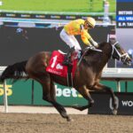 Mansetti, horses, Collected, King´s Plate Stakes, sábado, 16 de agosto de 2025, Woodbine. Michael Burns Photography & Woodbine