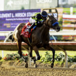 Seismic Beauty, Horses, MyRaceHorse, Clement L. Hirsch Stakes, sábado, 2 de agosto de 2025, Del Mar. Foto: Benoit Photo