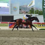 Special Element, horse, Copper Bullet, Clásico Guardia Nacional, domingo, 3 de agosto de 2025, La Rinconada. Foto: José Antonio Aray