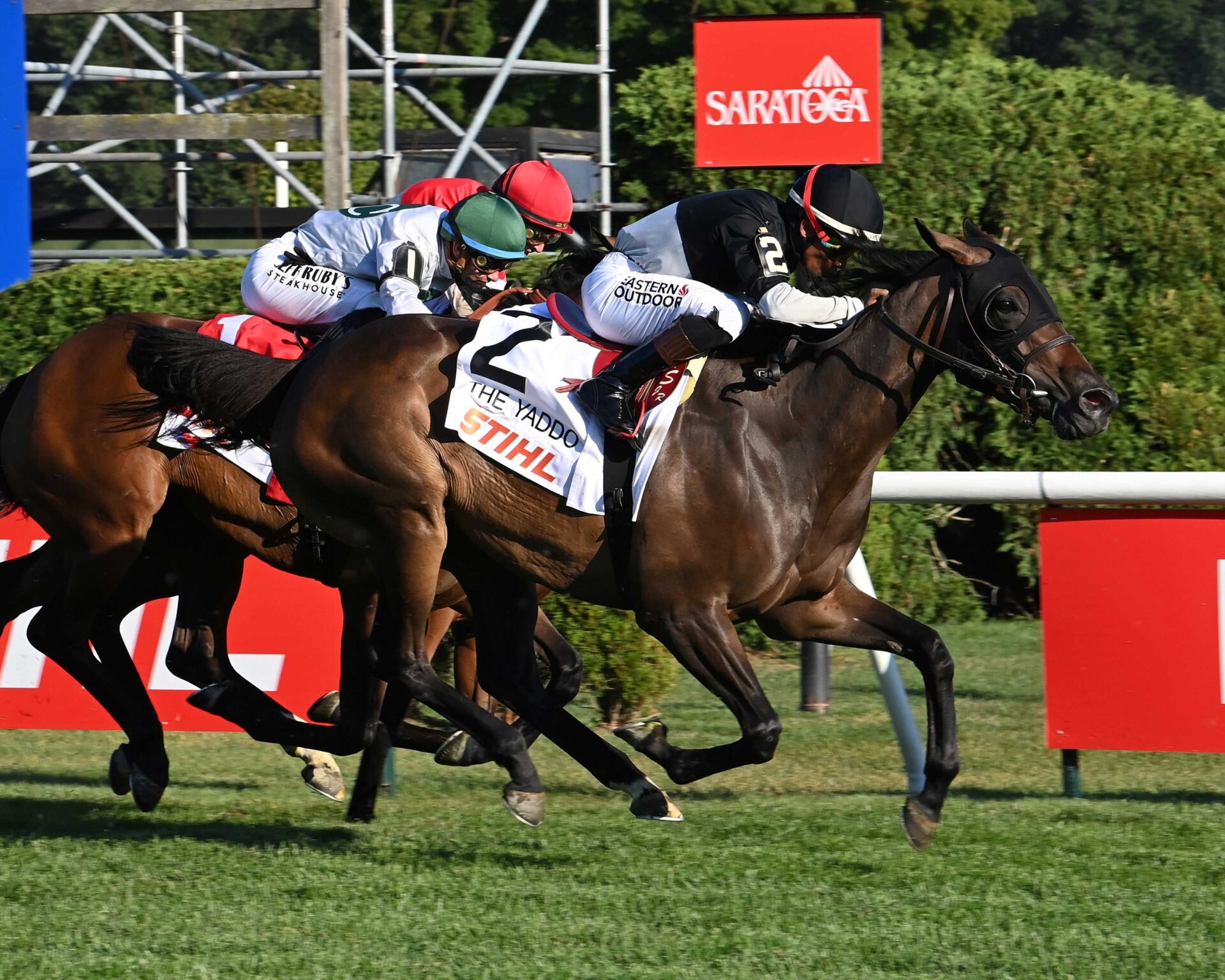 Awesome Czech, horse, Mendelssohn, Yaddo Stakes, viernes, 22 de agosto de 2025, Saratoga. Foto: Coglaniese Photo & Susie Raisher