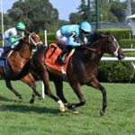 Bobrovsky, horse, Daredevil, Skidmore Stakes, sábado, 16 de agosto de 2025, Saratoga. Foto: Coglaniese Photo & Susie Raisher