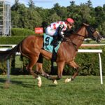 Bring TheBand Home, horse, Into Mischief, Troy Stakes, sábado, 3 de agosto de 2025, Saratoga. Foto: Coglaniese Photo & Susie Raisher