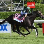 Deterministic, horse, Hinkle Farms, Fourstardave Handicap, sábado, 2 de agosto de 2025, Saratoga. Foto: Coglaniese Photo & Susie Raisher