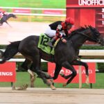Doc Sullivan, horse, Solomini, John Morrissey, jueves, 31 de julio de 2025, Saratoga. Foto: Coglaniese Photo & Susie Raisher