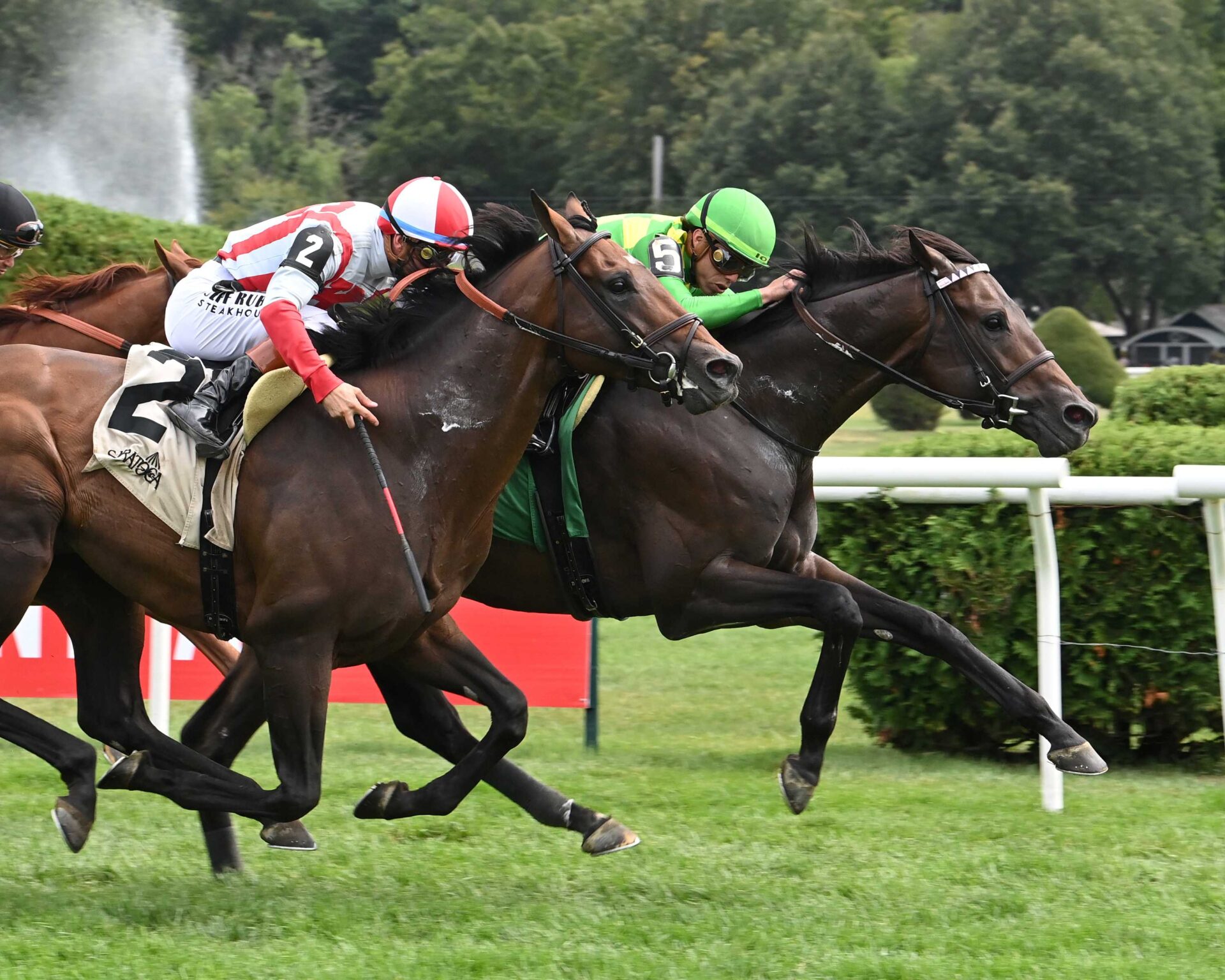 Donegal Momentum, horses, Donegal Racing, Bernard Baruch Hándicap, viernes, 29 de agosto de 2025, Saratoga. Foto: Coglaniese Photo & Susie Raisher