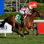 Dynamic Pricing, horse, Klaravich Stables, Perfect Sting, viernes, 29 de agosto de 2025, Saratoga. Foto: Coglianese Photo & Susie Raisher