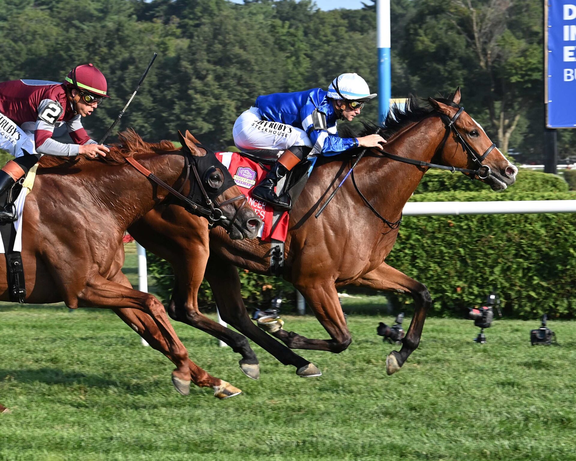 El Cordobés, horse, Frankel, Dancer Stakes, sábado, 9 de agosto de 2025, Saratoga. Foto: Coglaniese Photo & Susie Raisher