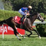 Final Score, horse, Not This Time, With Anticipation Stakes, jueves, 28 de agosto de 2025, Saratoga. Foto: Coglaniese Photo & Susie Raisher