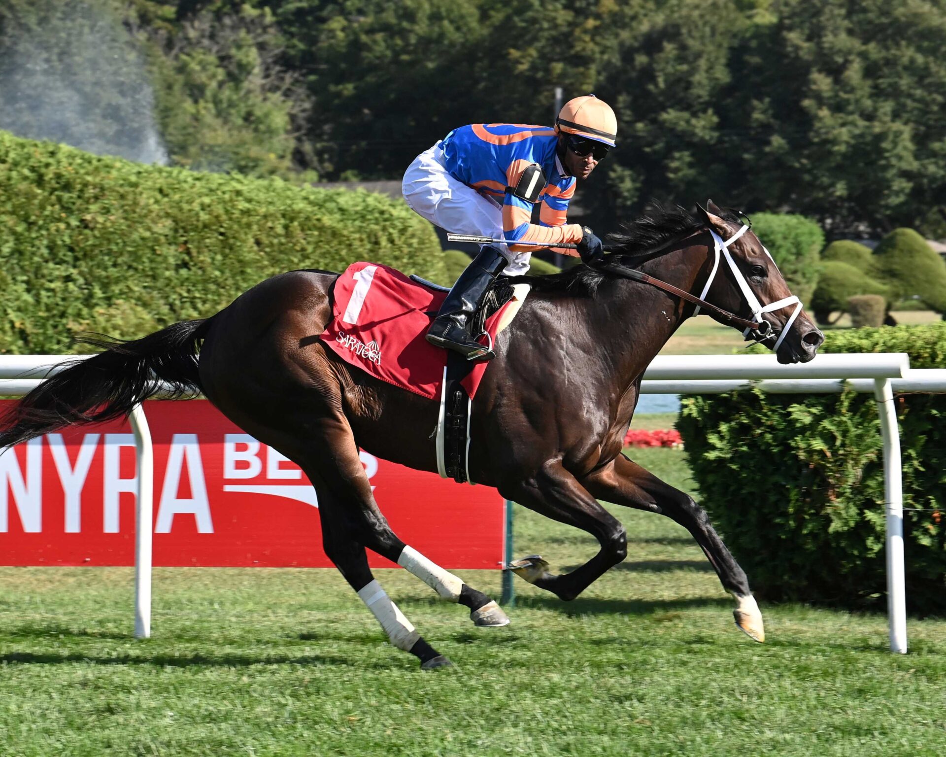Final Score, horse, Not This Time, With Anticipation Stakes, jueves, 28 de agosto de 2025, Saratoga. Foto: Coglaniese Photo & Susie Raisher