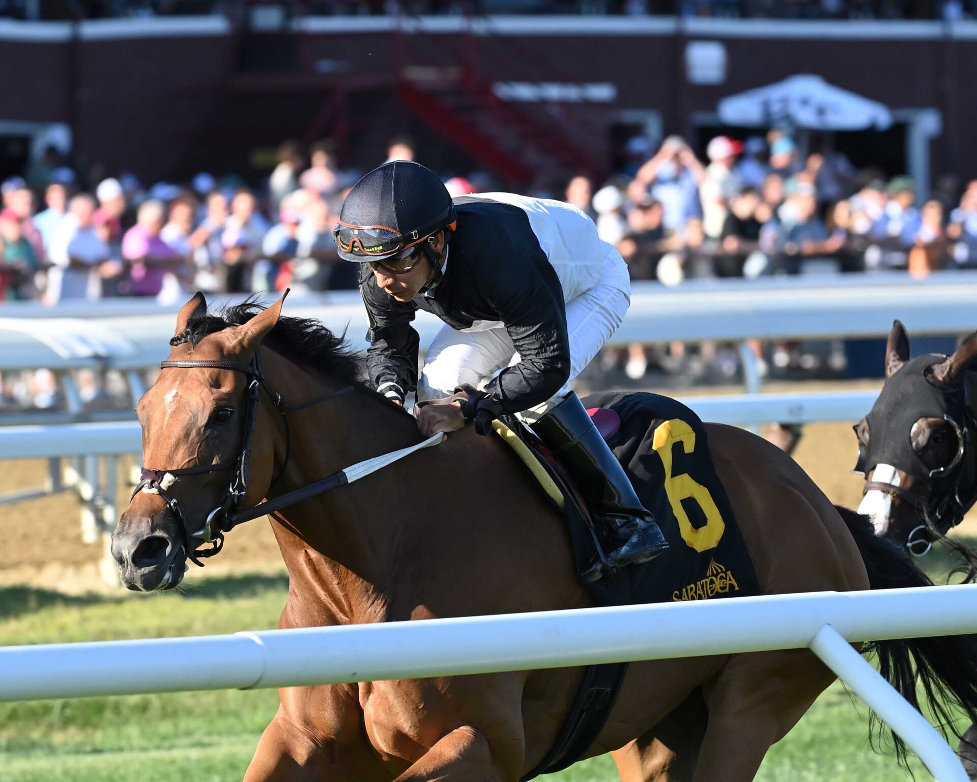Future Is Now, horses, Great Notion, Smart N Fancy Stakes, viernes, 15 de agosto de 2025, Saratoga. Foto: Coglaniese Photo & Chelsea Durand