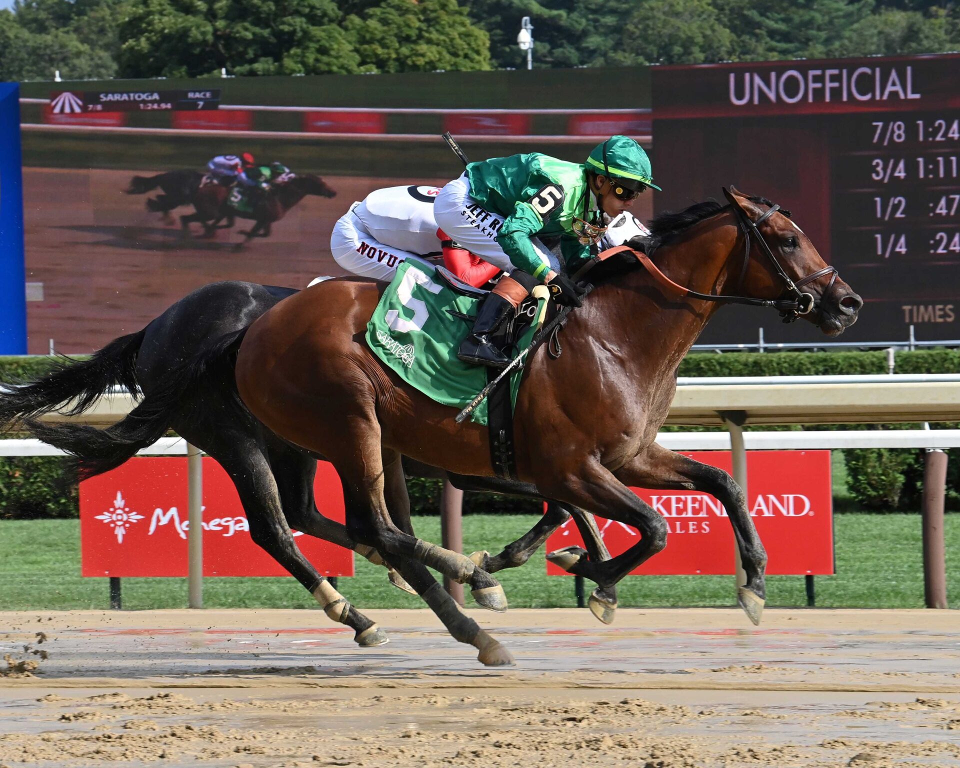 George Briggs, horse, Fog Of War, NYSS Cab Calloway, jueves, 14 de Agosto de 2024, Saratoga. Foto: Coglaniese Photo & Susie Raisher