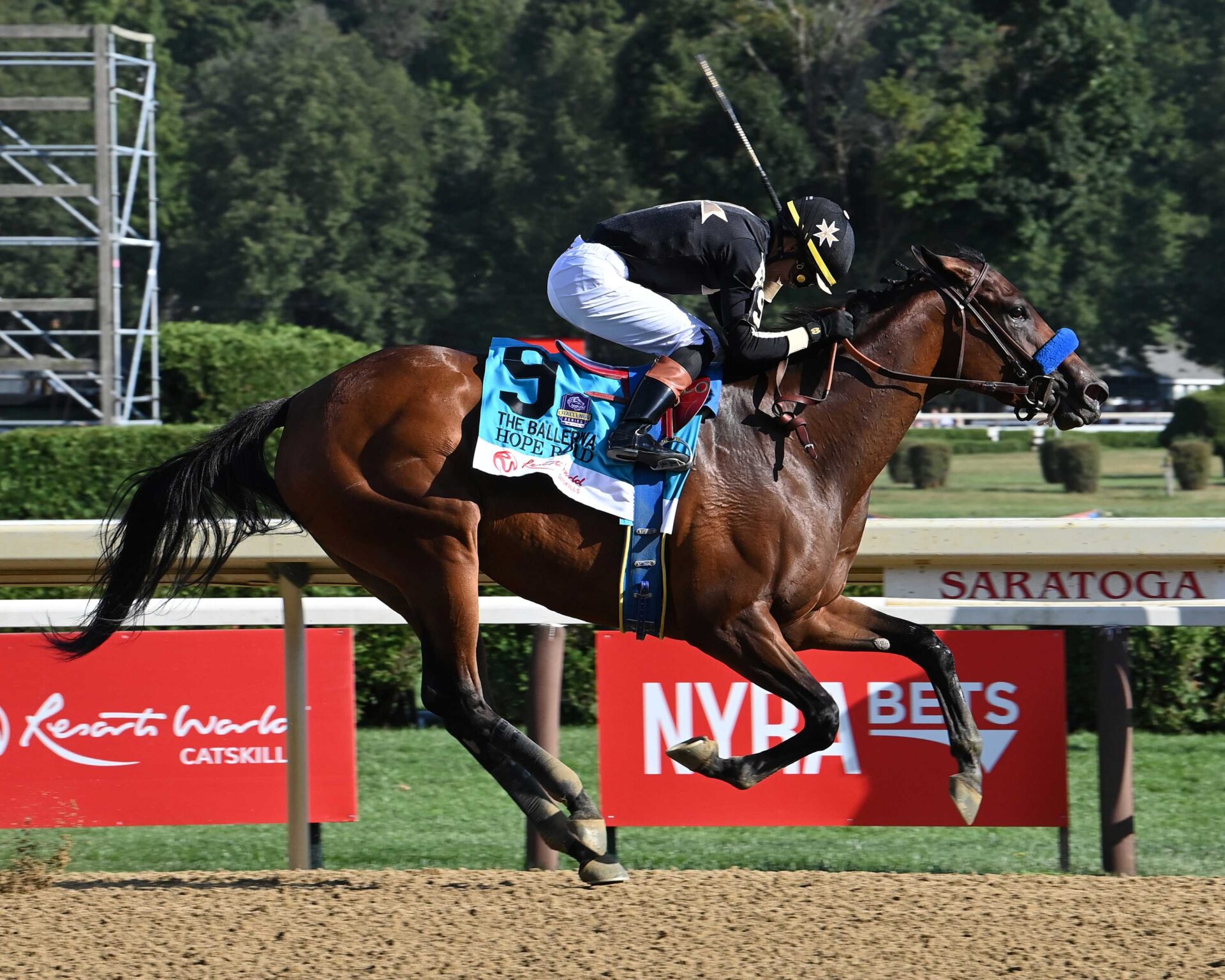 Hope Road, horse, Cicero Farms, Ballerina Stakes, sábado, 23 de agosto de 2025, Saratoga. Foto: Coglaniese Photo & Susie Raisher