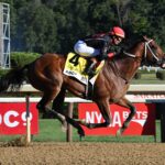 Iron Dome, horse, Into Mischief, Albany Stakes, jueves, 21 de agosto de 2025, Saratoga. Foto: Coglaniese Photo & Susie Raisher