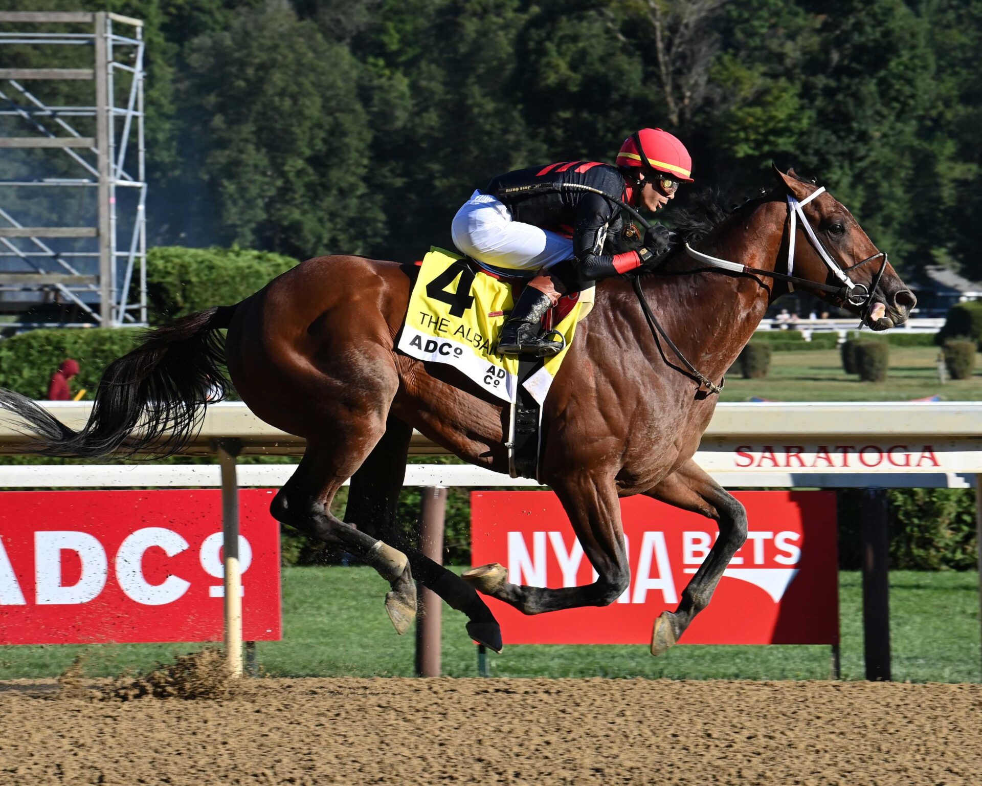 Iron Dome, horse, Into Mischief, Albany Stakes, jueves, 21 de agosto de 2025, Saratoga. Foto: Coglaniese Photo & Susie Raisher