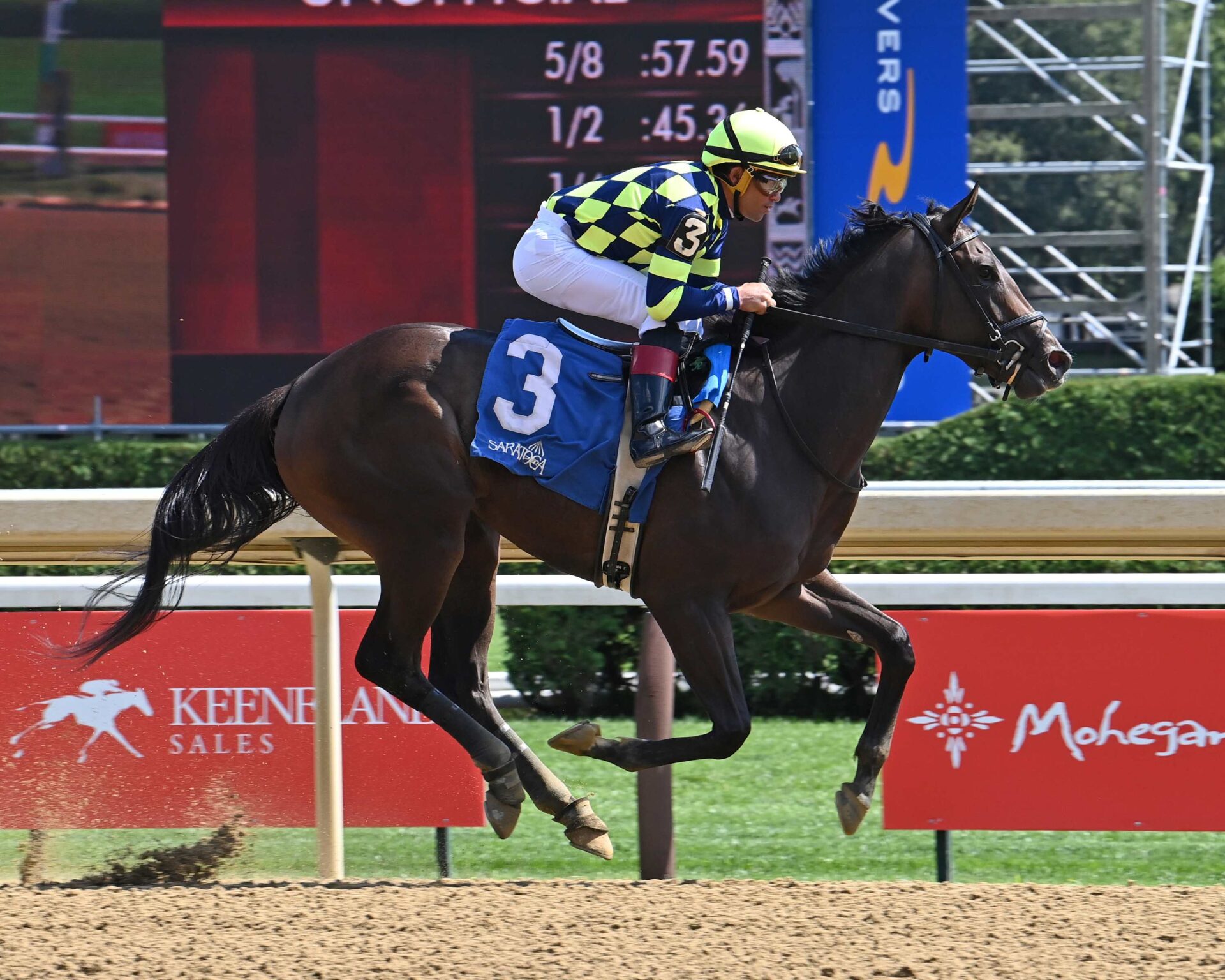 Iron Orchard, horse, Authentic, Seeking The Ante Stakes, viernes, 22 de agosto de 2025, Saratoga. Foto: Coglaniese Photo & Susie Raisher