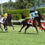 Luther, horse, Frankel, National Museum Of Racing Hall of Fame Stakes, viernes, 1 de agosto de 2025, Saratoga. Foto: Coglaniese Photo
