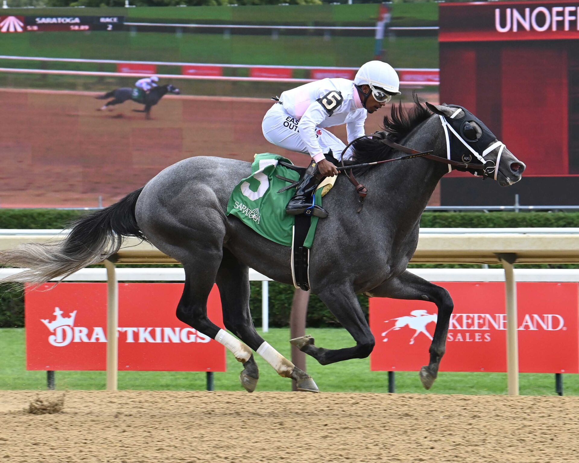 Minorinconvenience, horse, Mendelssohn, Funny Cide Stakes, miércoles, 27 de agosto de 2025, Saratoga. Foto: Coglaniese Photo & Susie Raisher