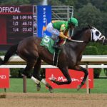 My Mane Squeeze, horse, Audible, Johnstone Stakes, miércoles, 30 de julio de 2025, Saratoga. Foto: Coglaniese Photo & Susie Raisher
