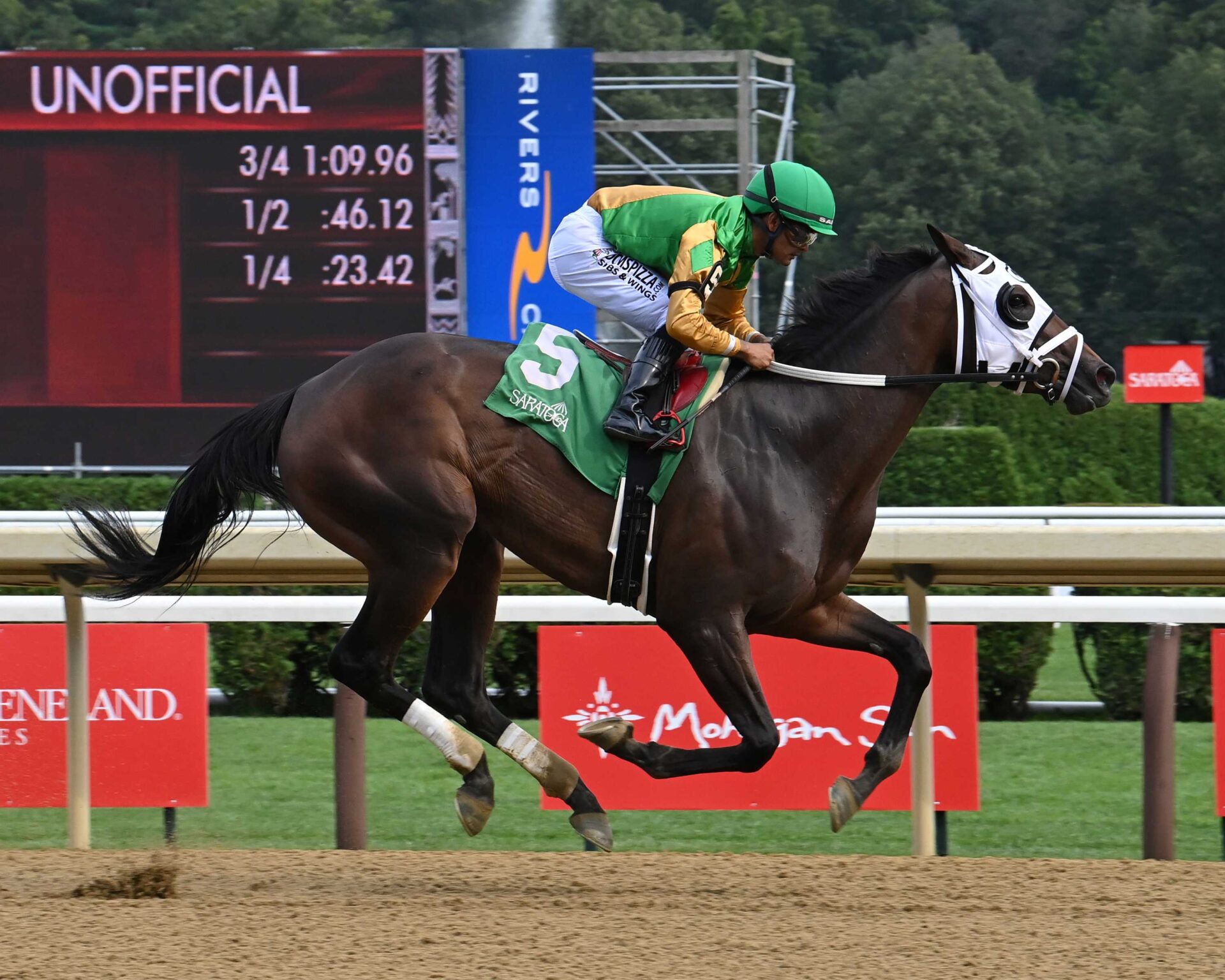 My Mane Squeeze, horse, Audible, Johnstone Stakes, miércoles, 30 de julio de 2025, Saratoga. Foto: Coglaniese Photo & Susie Raisher