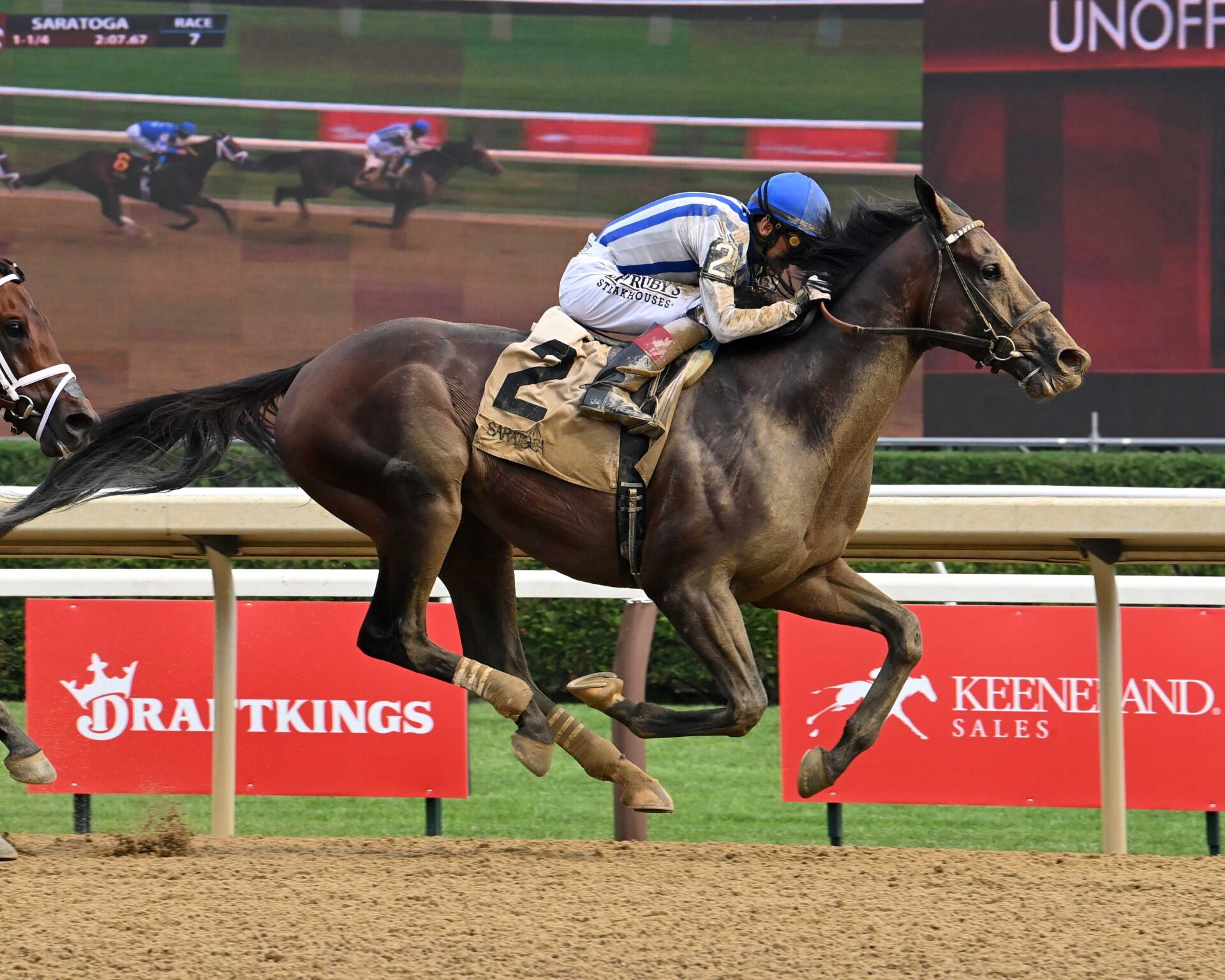 Parchment Party, horses, Constitution, Birdstone Stakes, miércoles, 6 de agosto de 2025, Saratoga. Foto: Coglianese Photo & Susie Raisher