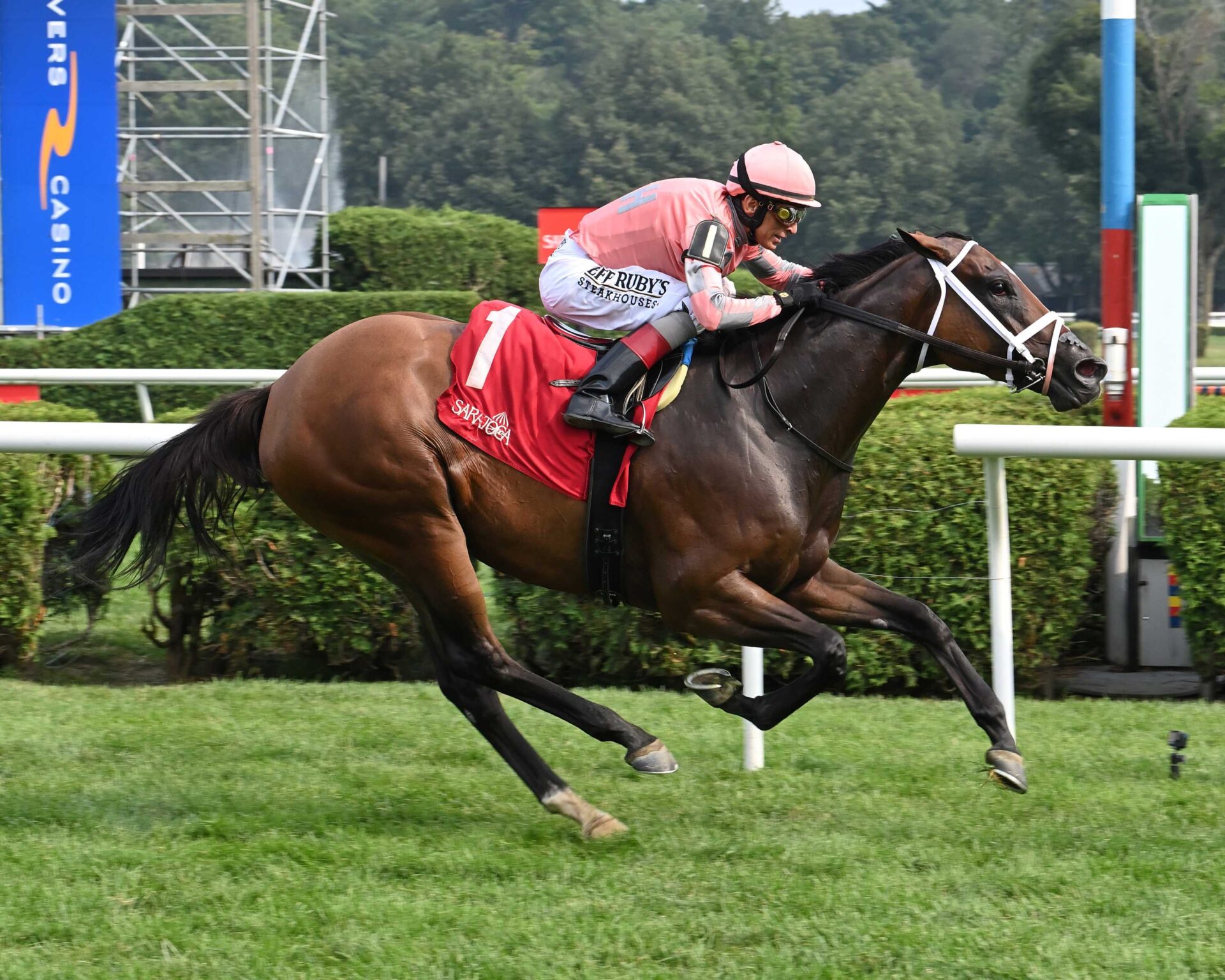 Pop Idol, horse, Maclean´s Music, Galway Stakes, jueves, 7 de agosto de 2025, Saratoga. Foto: Coglaniese Photo & Susie Raisher