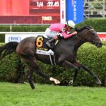 Rhetorical, horse, Not This Time, West Point Stakes, domingo, 24 de agosto de 2025, Saratoga. Foto: Coglaniese Photo & Susie Raisher