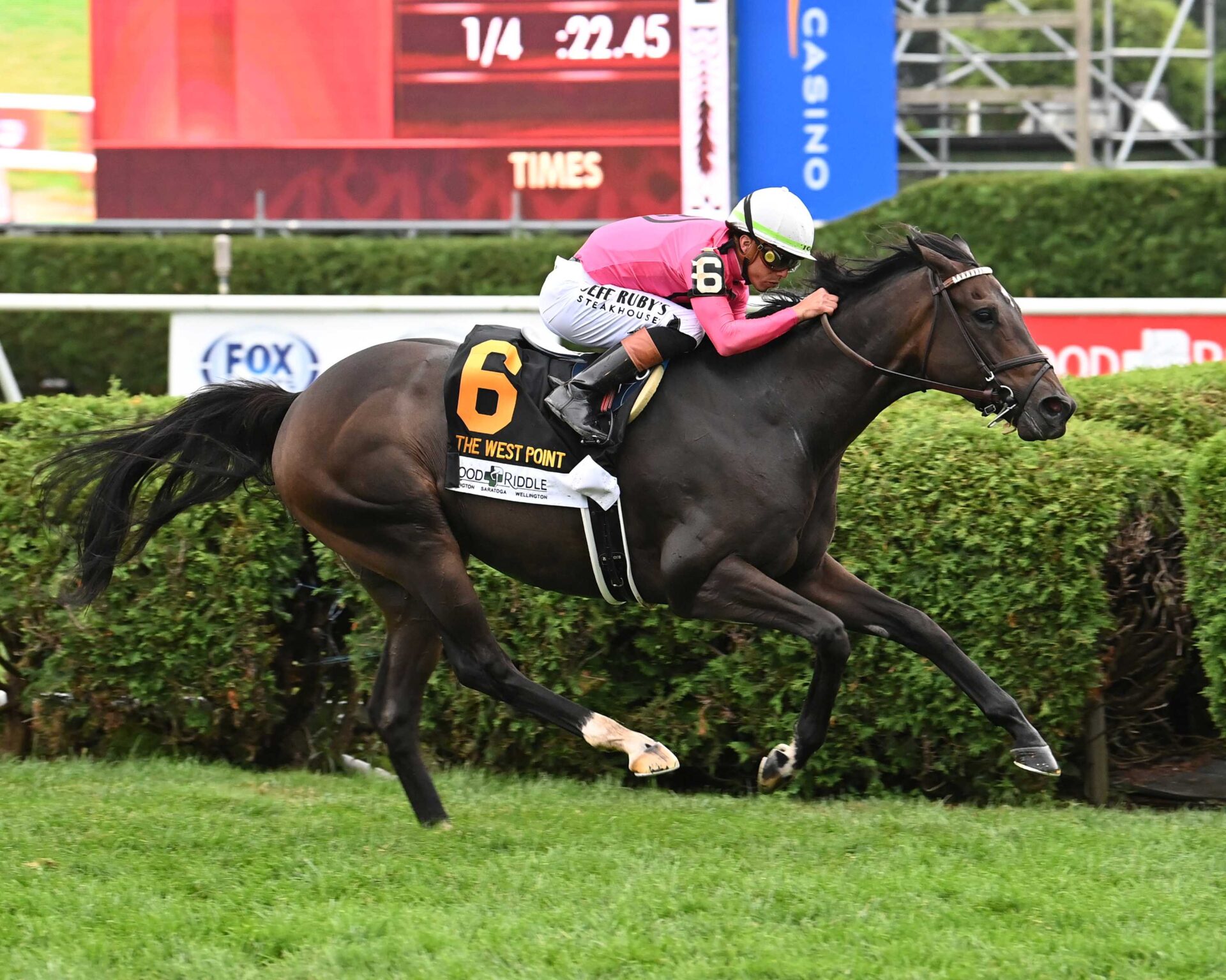 Rhetorical, horse, Not This Time, West Point Stakes, domingo, 24 de agosto de 2025, Saratoga. Foto: Coglaniese Photo & Susie Raisher