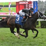 Snow Face Princess, horse, Midshipman, Bolton Landing Stakes, domingo, 17 de agosto de 2025, Saratoga. Foto: Coglaniese Photo & Susie Raisher