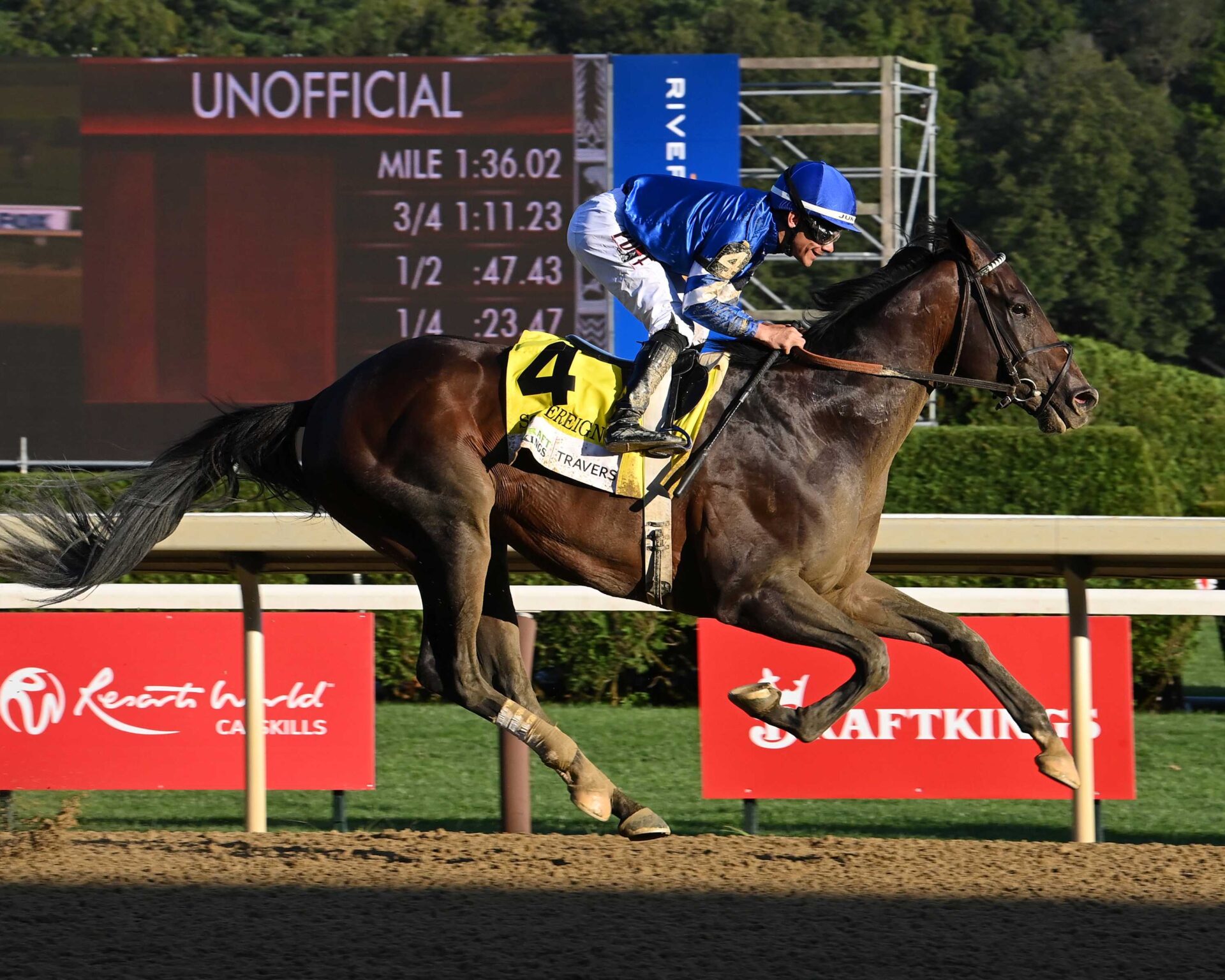 Sovereignty, horse, Godolphin, Travers Stakes, sábado, 23 de agosto de 2025, Saratoga. Foto: Coglaniese Photo & Susie Raisher