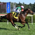 Spiced Up, horse, Juddmonte, Mahony Stakes, domingo, 10 de agosto de 2025, Saratoga. Foto: Coglaniese Photo & Susie Raisher