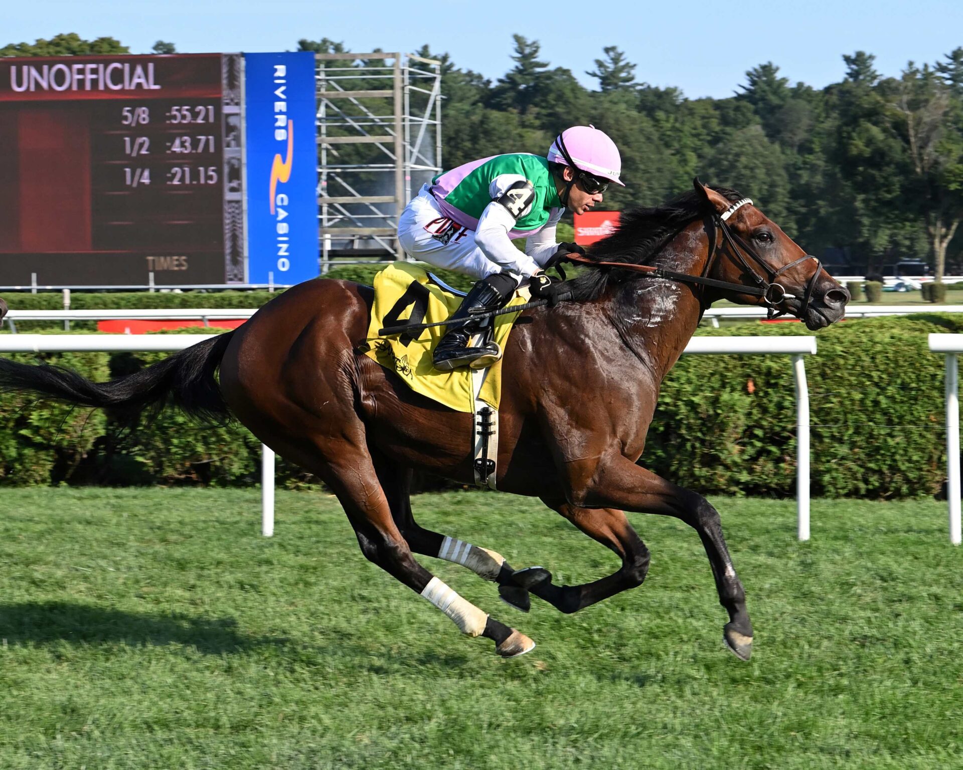 Spiced Up, horse, Juddmonte, Mahony Stakes, domingo, 10 de agosto de 2025, Saratoga. Foto: Coglaniese Photo & Susie Raisher