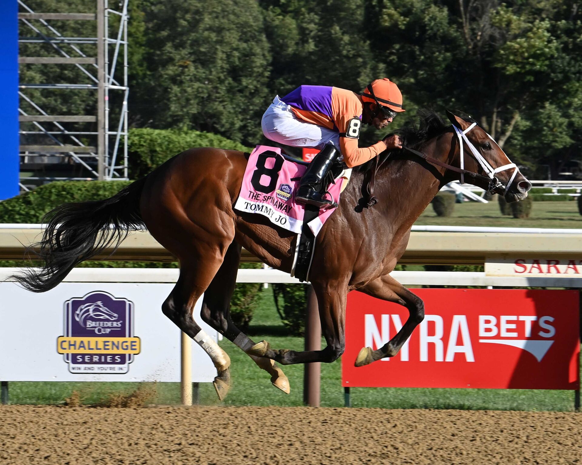 Tommy Jo, horse, Into Mischief, Spinaway Stakes, sábado, 30 de agosto de 2025, Saratoga. Foto: Coglaniese Photo & Susie Raisher