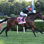 Bellezza, horses, Siyouni, Flower Bowl Stakes, sábado, 30 de agosto de 2025, Saratoga. Foto: Coglaniese Photo & Susie Raisher