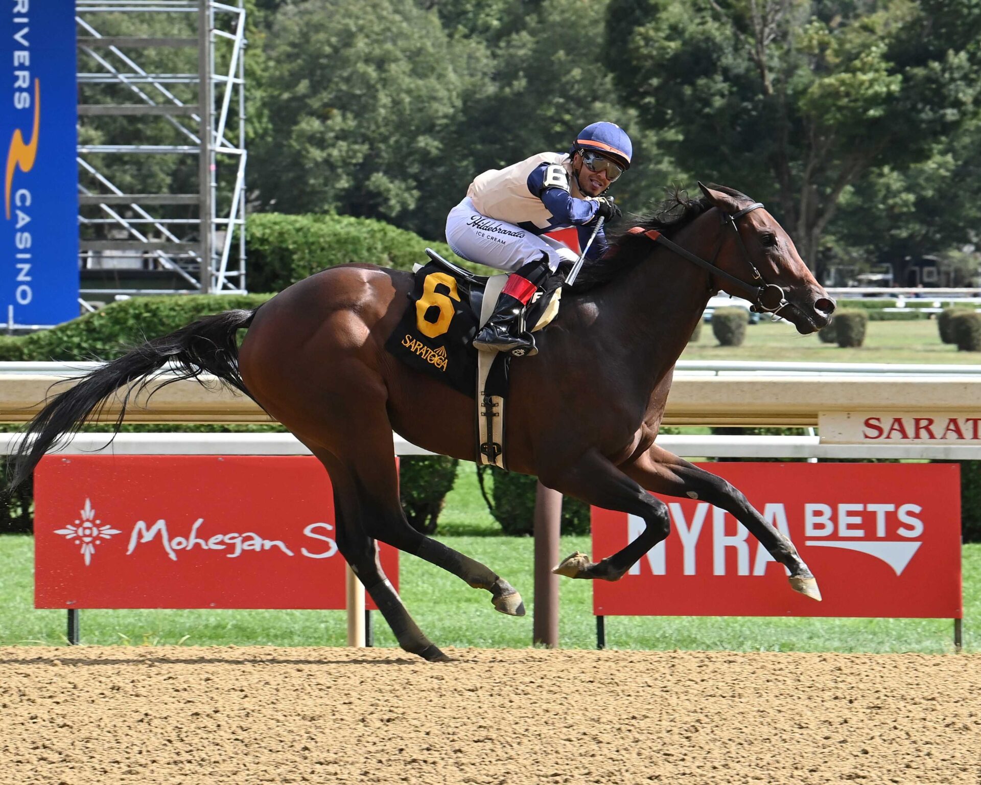 Praying, horse, Vekoma, Prioress Stakes, sábado, 31 de agosto de 2024, Saratoga. Foto: Coglaniese Photo & Susie Raisher